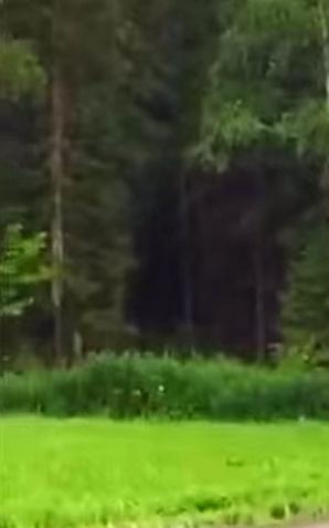 VIDEO: Groźny wypadek Roberta Kubicy w Finlandii! 